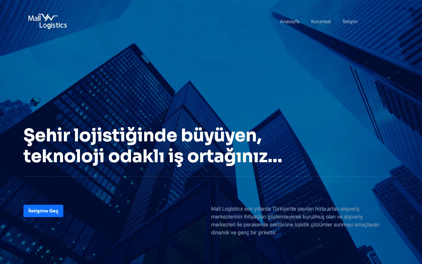 Web Projesi Ekran Görüntüsü